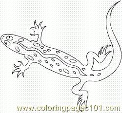 1lizard Clr