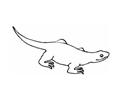 Walking Lizard