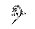 goanna