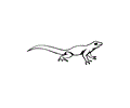 Lizard