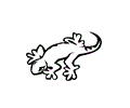 Lizard