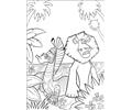 Madagascar 001