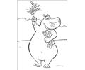 Madagascar 002