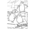 Madagascar 015