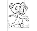 Madagascar2 33