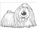 The Magic Roundabout 22