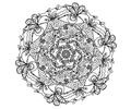 Mandala (1)