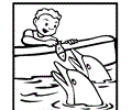 Feeding Dolphins