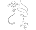 Nature Cerfs Volants 01