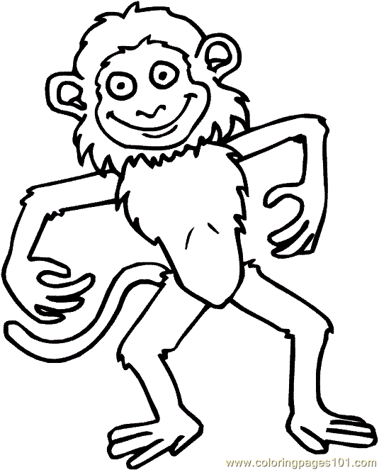 Monkey Coloring Page 10