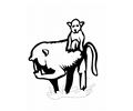 Ing Pages Spider Monkey 4 Lrg