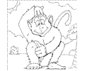 Monkey Coloring