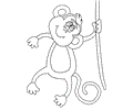 Monkey youtline