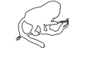Monkey youtline