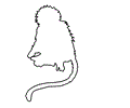 Monkey youtline