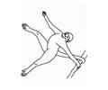 Spider Monkey Lrg