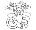 Ss Fairy207