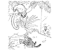 Zoo Animal Coloring Page 28