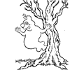 Colghos2