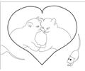 Cat1 Mouse