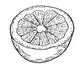 Orange 7