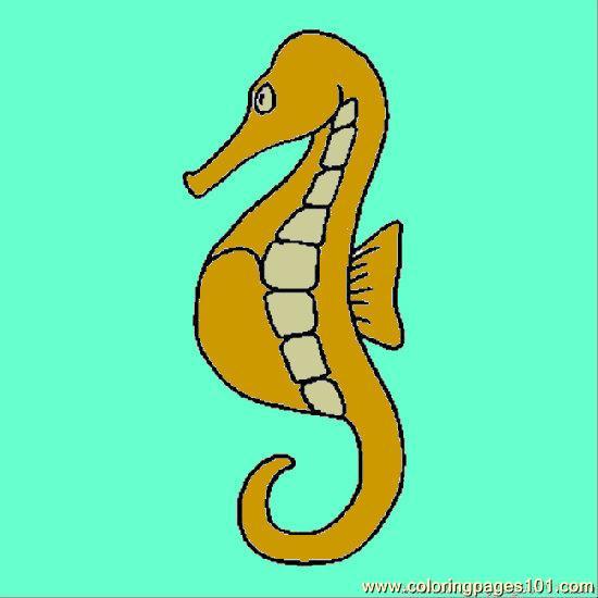 Sea Horse Soeps