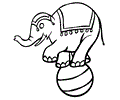 Circus Elephant