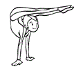 Contortionist