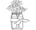 Daisies In A Jar