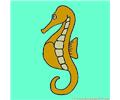 Sea Horse Soeps