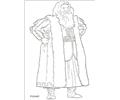 Le Monde De Narnia N 11 43221