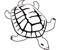 Turtle Coloring Page 001 (2)