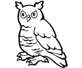 Owl coloring pages, 116 Owl printable coloring pages, Owl coloring