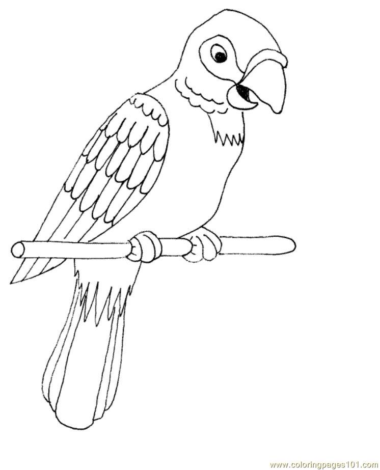 Coloring Pages Parrot (Birds > Parrots) - free printable ...