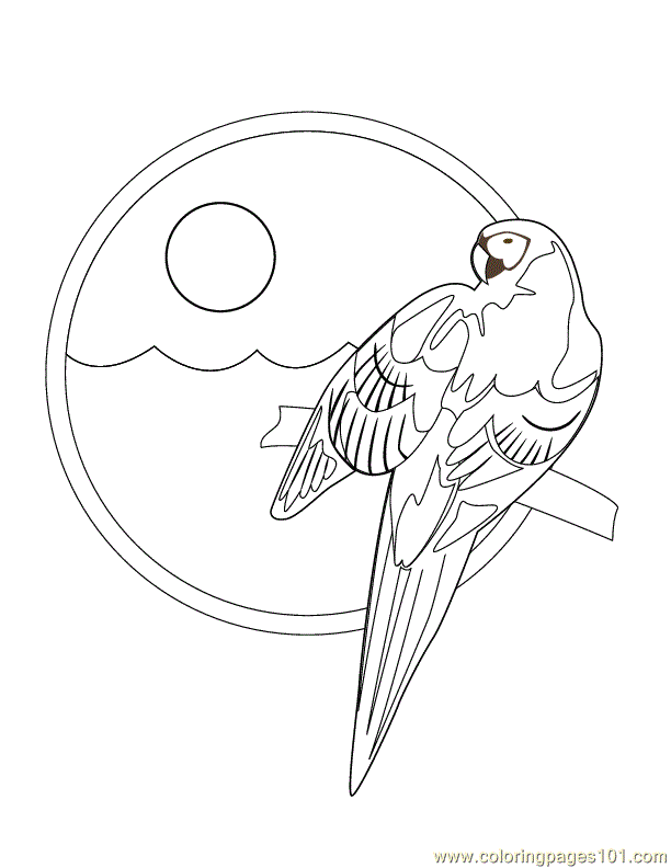 Parrot Fish Coloring Page Coloring Pages