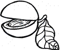 Peach 11