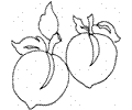 Peach 6