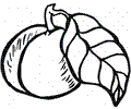 Peach 8