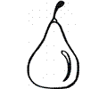 Pear 10