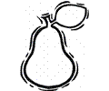 Pear 13