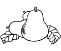 Pear 19