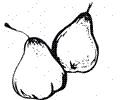 Pear 21