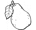 Pear 7