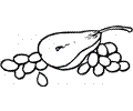 Pear 9