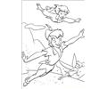 Peterpan2 16