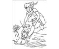 Peter Pan 22