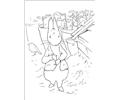 Peter Rabbit03
