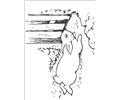 Peter Rabbit08