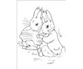 Peter Rabbit13