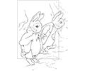 Peter Rabbit14